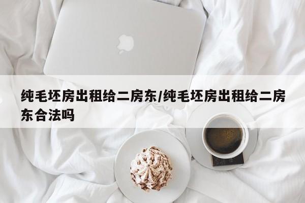 纯毛坯房出租给二房东/纯毛坯房出租给二房东合法吗