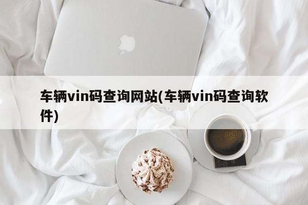 车辆vin码查询网站