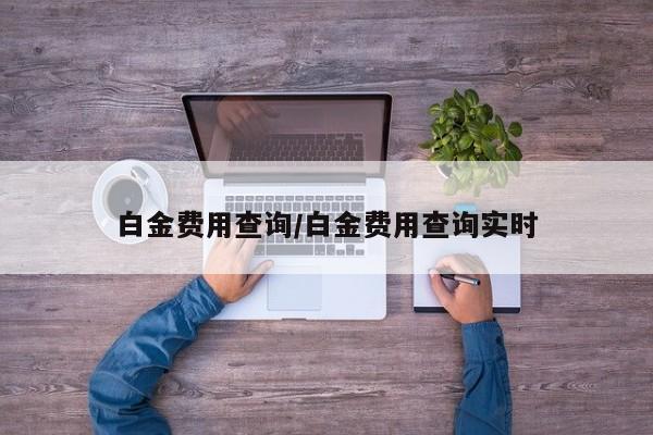 白金费用查询/白金费用查询实时