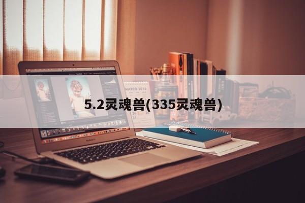 5.2灵魂兽(335灵魂兽)