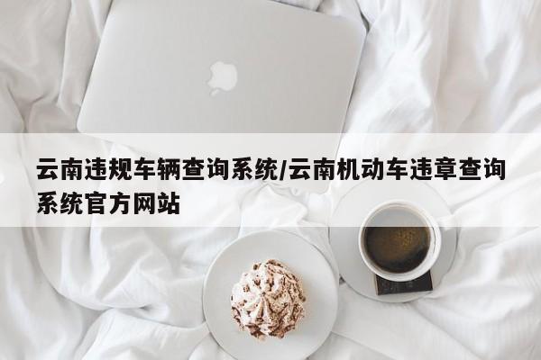 云南违规车辆查询系统