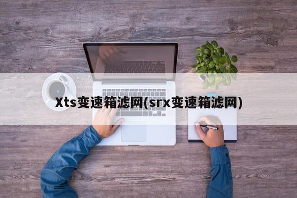 Xts变速箱滤网