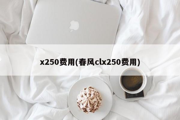 x250费用(春风clx250费用)