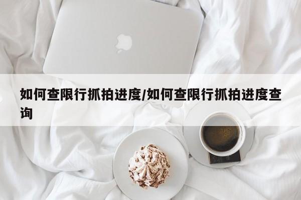 如何查限行抓拍进度/如何查限行抓拍进度查询