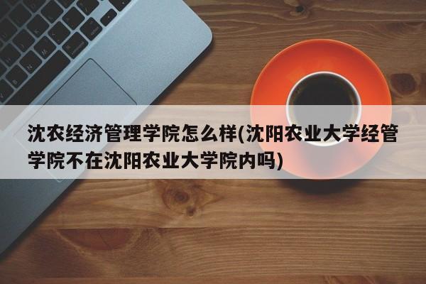 沈农经济管理学院怎么样