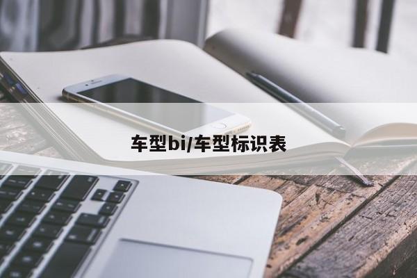 车型bi/车型标识表