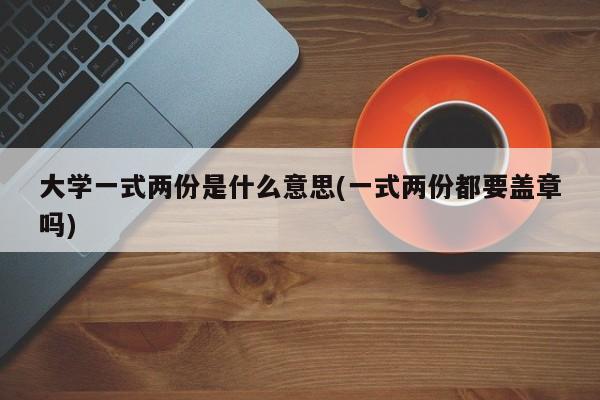 大学一式两份是什么意思