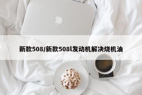 新款508/新款508l发动机解决烧机油