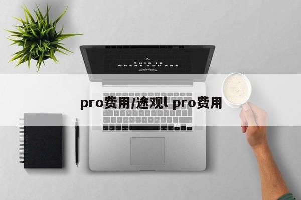 pro费用/途观l pro费用