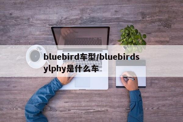 bluebird车型/bluebirdsylphy是什么车