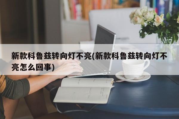 新款科鲁兹转向灯不亮