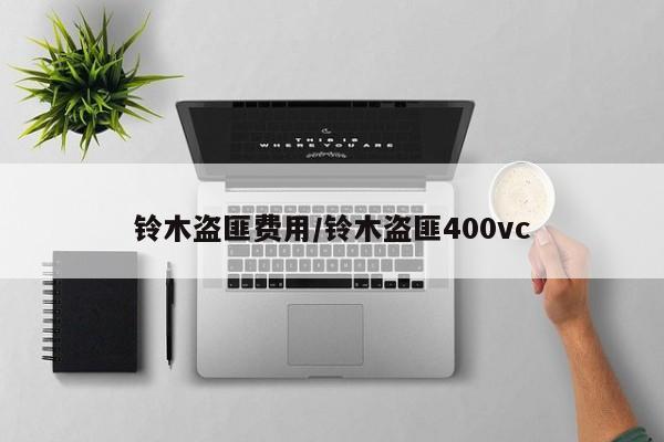 铃木盗匪费用/铃木盗匪400vc