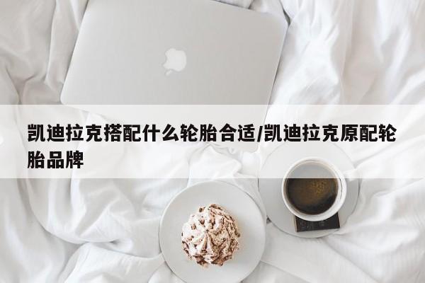 凯迪拉克搭配什么轮胎合适