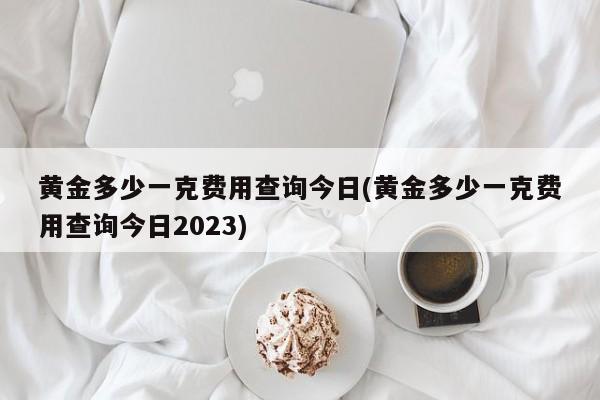 黄金多少一克费用查询今日(黄金多少一克费用查询今日2023)