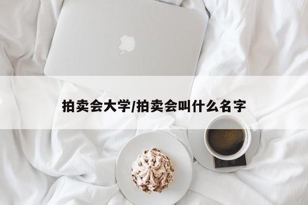 拍卖会大学/拍卖会叫什么名字