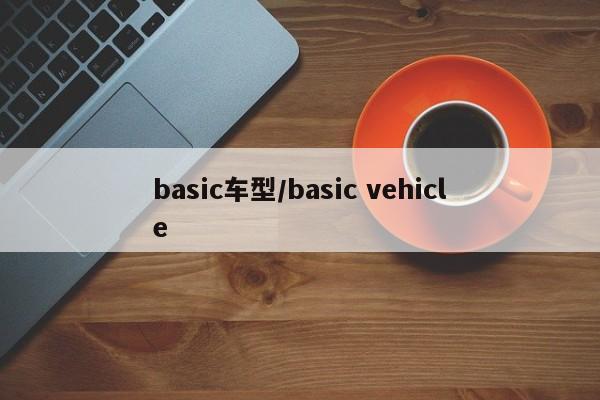 basic车型/basic vehicle