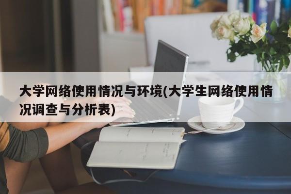 大学网络使用情况与环境