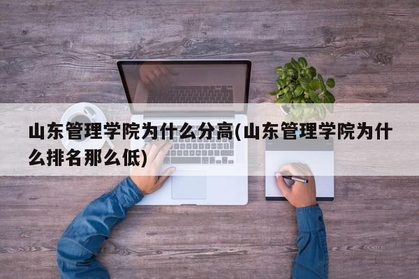 山东管理学院为什么分高