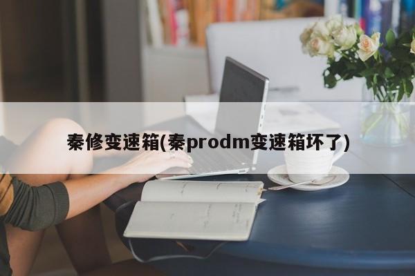 秦修变速箱(秦prodm变速箱坏了)